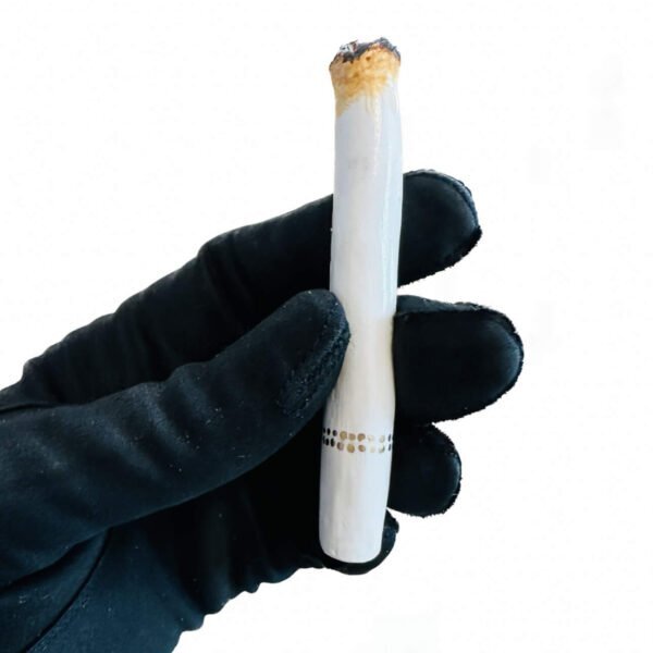 303E66FB-C736-4218-A95C-CDC62C79AA63